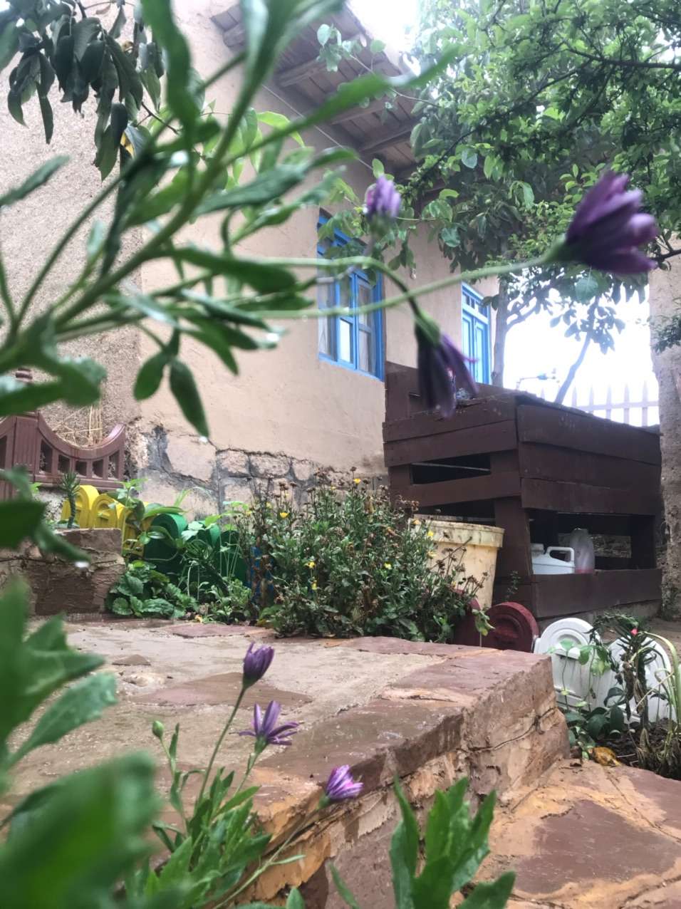 نمونه شماره5