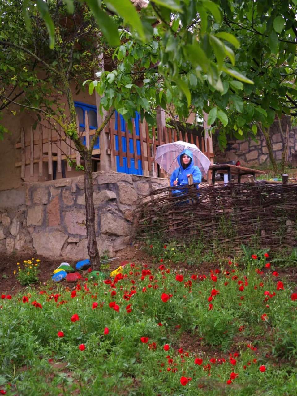 نمونه شماره6